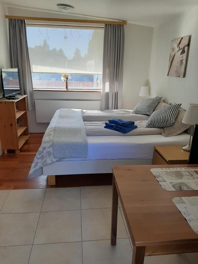 Bsg Apartments Selfoss Zewnętrze zdjęcie